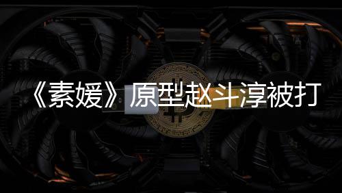 判媛原型与审打 请民赵斗众参淳被方申素涉嫌伤害