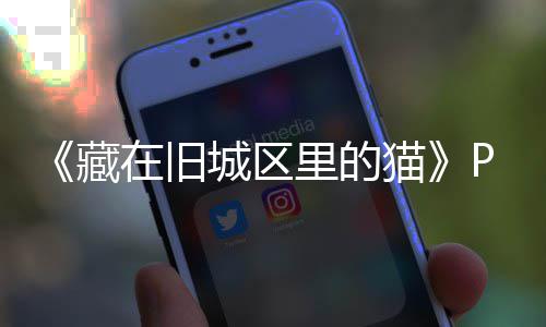 里的流下猫在旧载 m正载版下版分藏城区