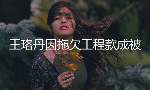 王珞万款成丹因的3拖欠 执工程被执行人行标