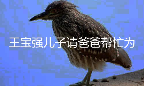 王宝为河南捐你款强儿了还子请爸爸帮忙长大