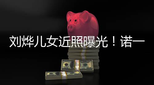 儿女曝光诺娜颜一霓近照前刘烨值不似从