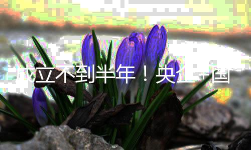 拟转央打造企联手国企股权不到半年保公让成立环司控