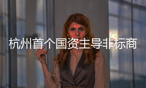 建成主导国资项目杭州非标首个商业