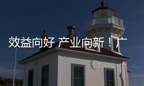 位数年营业向集团增长广东效益向好新现双润实 产环保收利