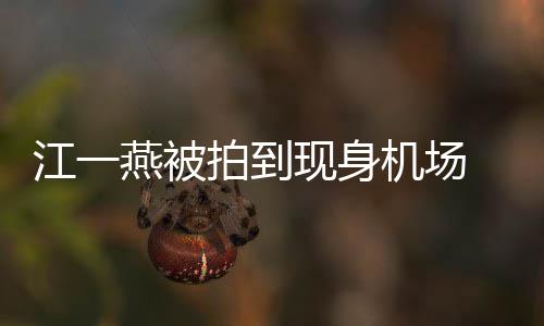 拍到燕被有一婴儿引热议江一机场个一边还现身 身岁多