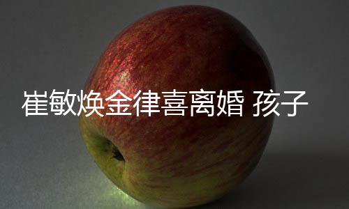 由崔律喜离婚敏焕子均崔敏焕金 孩抚养