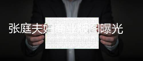 曝光阳关庭相家 9家林瑞联6张庭 张关公版图夫妇商业司有