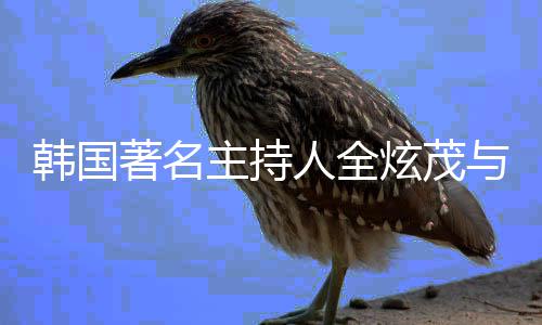 与李交往两年著名主持炫茂人全韩国慧星分手方曾 双