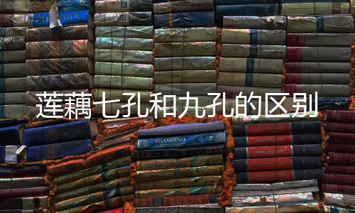 孔的七孔区别莲藕和九